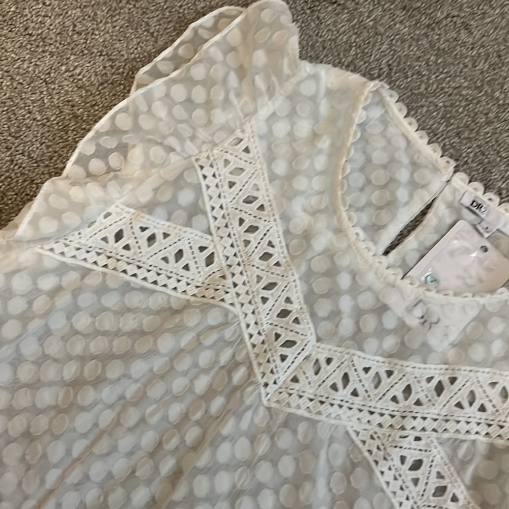 DR2 Swiss Dot Ruffle Blouse - Picture 4 of 7